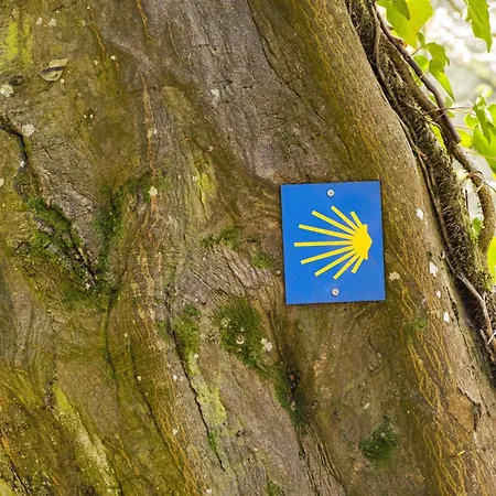 Ferienwohnung Obsthof Lutz - Nur Urlaubsgaeste アパート *