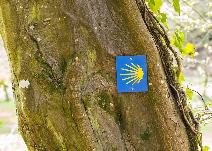 Ferienwohnung Obsthof Lutz - Nur Urlaubsgaeste アパート *